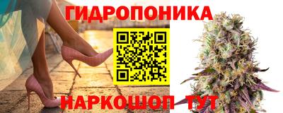 гашиш Ставрополь