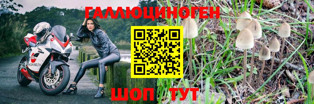 Архангельск  Псилоцибиновые грибы GOLDEN TEACHER  Вход с VPN 